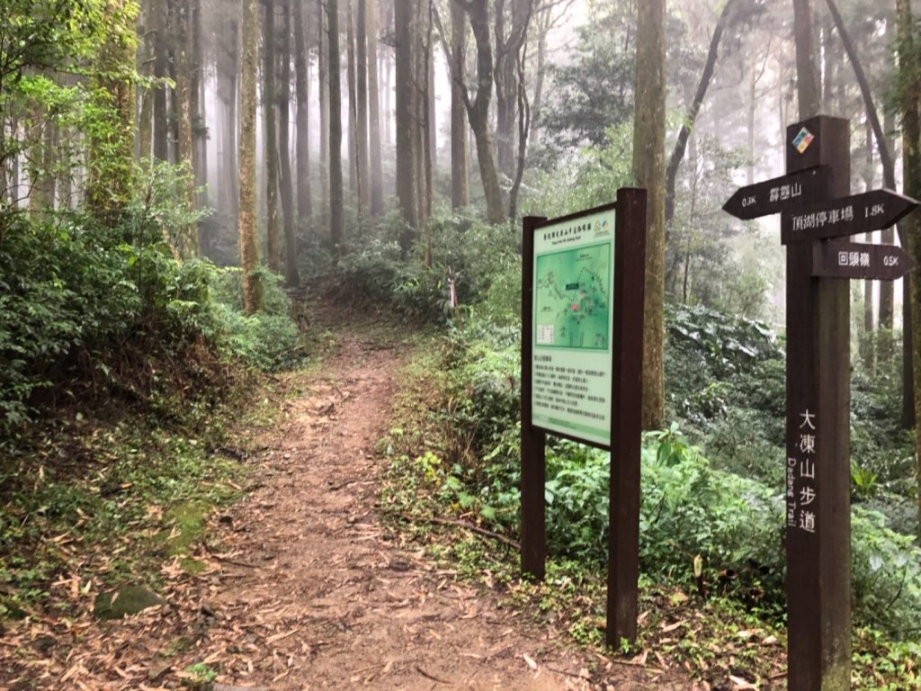 頂湖步道再訪芙蓉山、大凍山、霹靂山_637330
