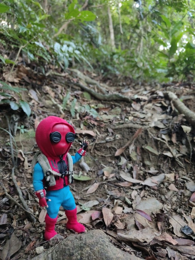 2024.11.29 騎龍山+騎龍古道_2990398