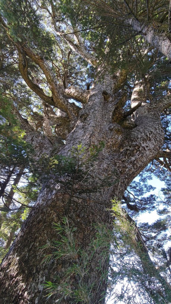 武法奈尾山_1946733