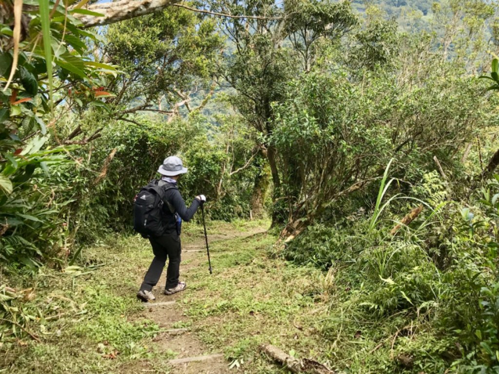 大南澳越嶺古道_553571