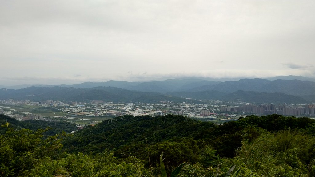 20190505 樹鶯縱走(大棟山)_817309