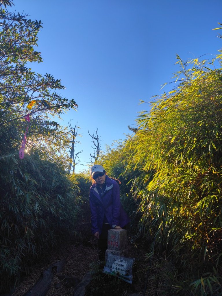 大雪山森林遊樂區 遊客中心 小神木 北三錐山 平石山西北峰_2952981