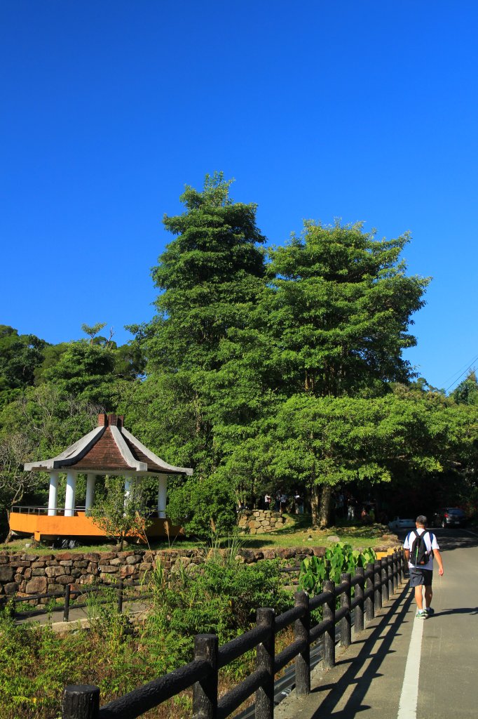 雙十闖大坑二五三號步道 20201009_1133838