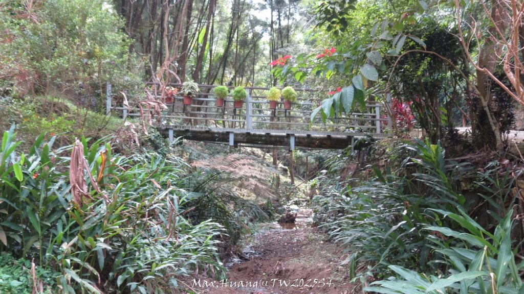 《南投》古道巡禮｜八通關古道社寮線蜈蚣崙段20251115_2937128