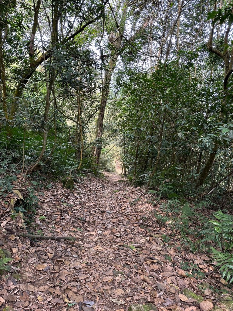 石夢谷、情人谷瀑布步道健走_2440880