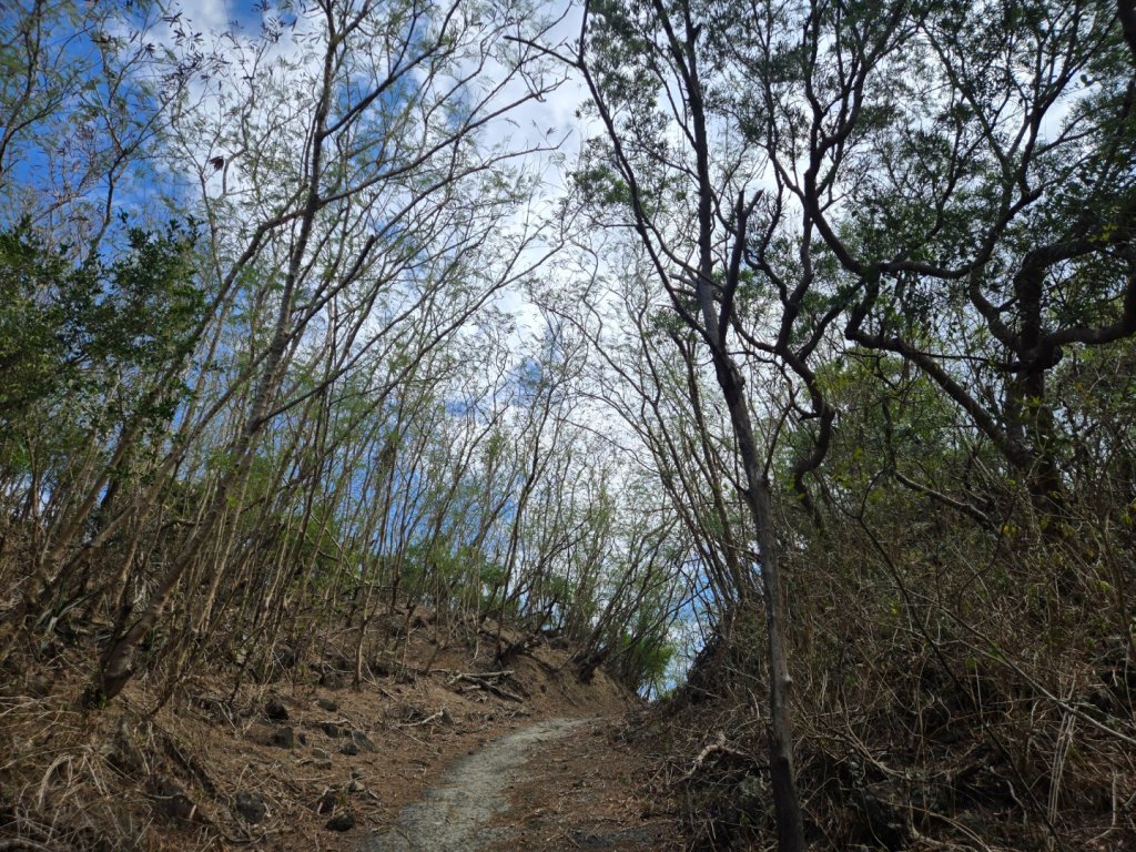 大山母山（小百岳）_3007456