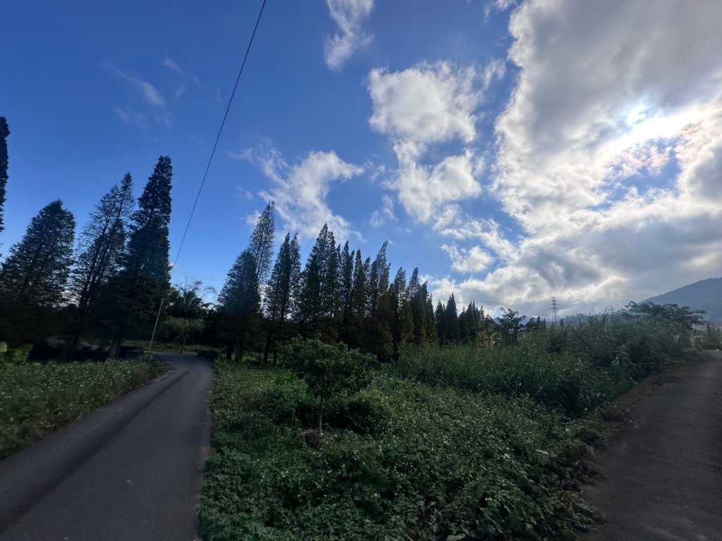 墩子銃古道_2664588