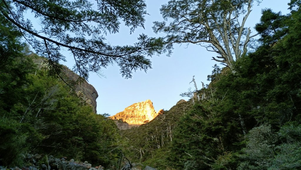 東霸尖山單攻秀霸線 (高山268)爬帶秀2021年11月6日_1507125