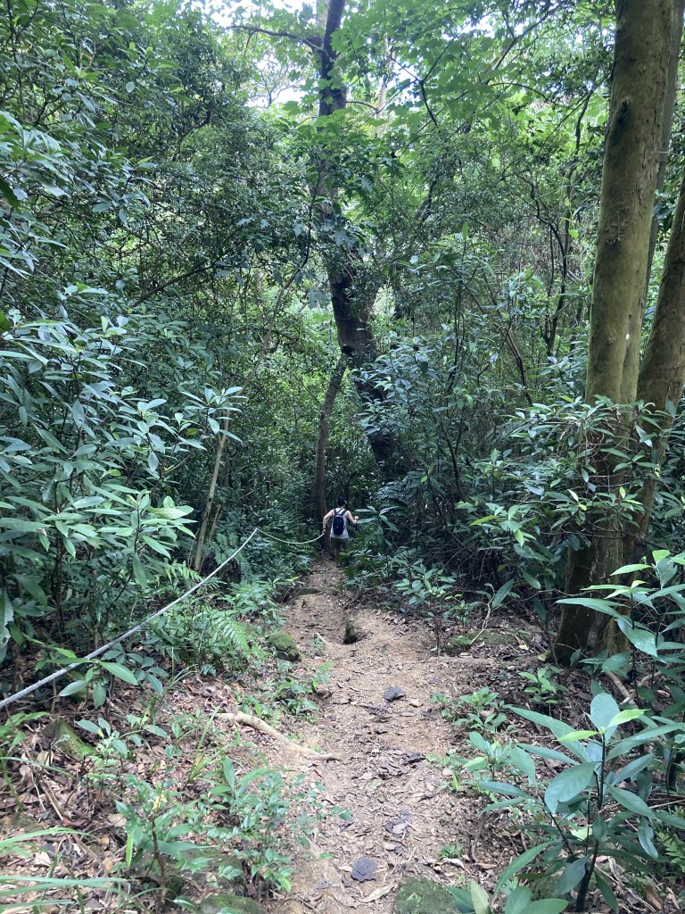 打牛崎古道_2564048