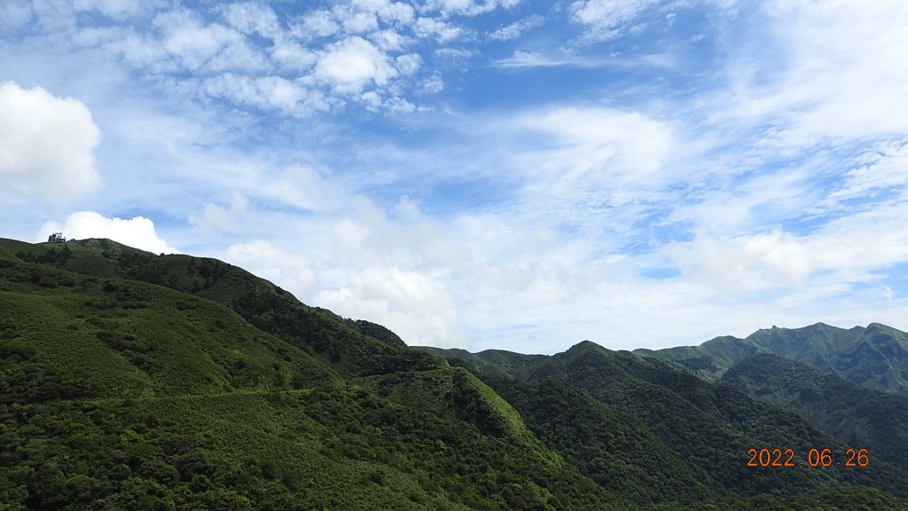 雲山水花鳥蝶-天龍國阿伯的日常6/25&26_1744978