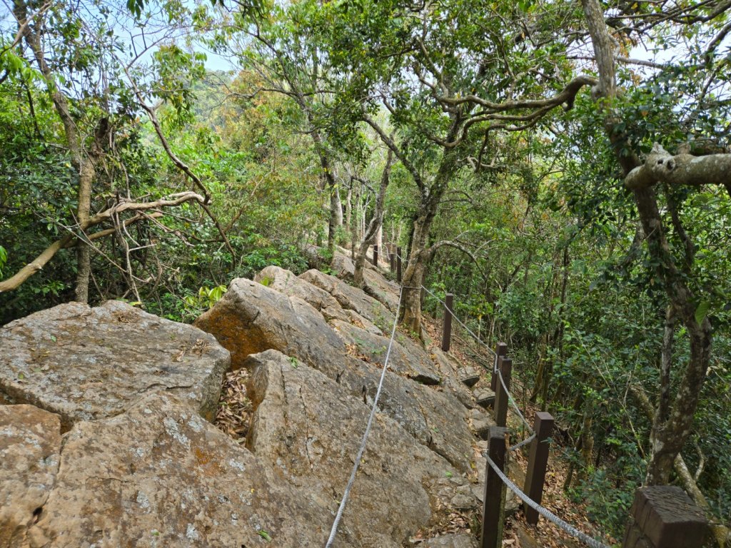 龍麟山步道封面圖