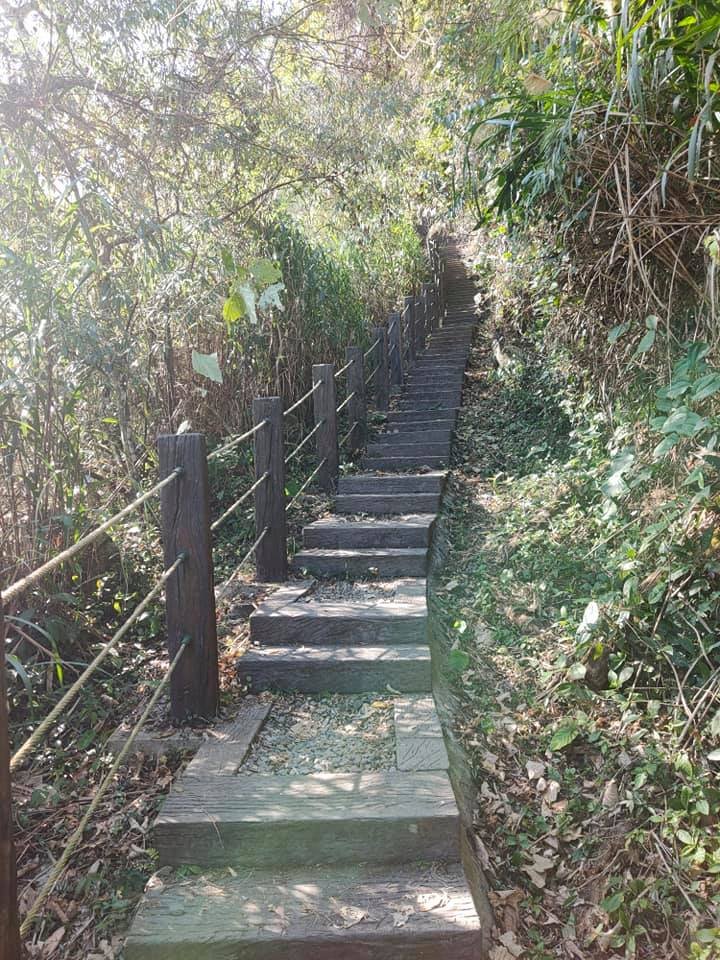 挑筍古道(大尖山、後棟仔山步道)_1262778