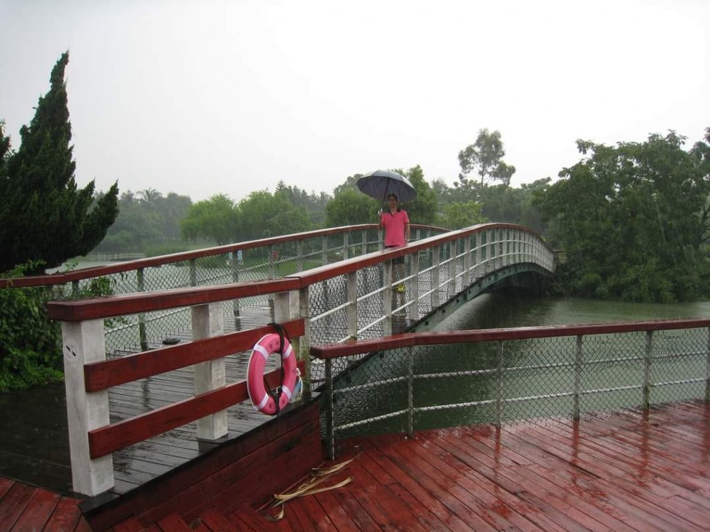 小百岳NO.48 彰化橫山。八卦山  猴探井 溪州公園，溪頭，杉林溪，大崙山銀杏茶園 中寮龍鳳瀑布_2245674