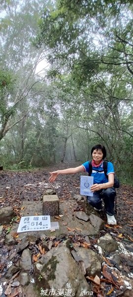 【花蓮壽豐】適合全家健行的步道。 小百岳集起來。 編號90小百岳-月眉山步道_1749461