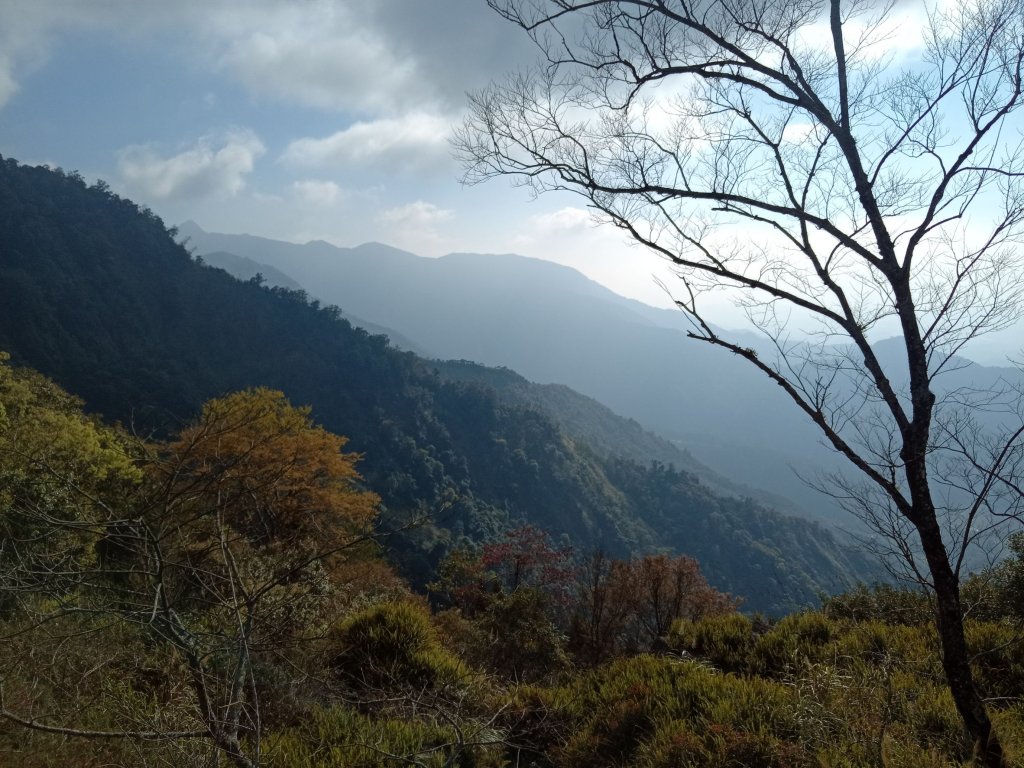 20220227台中和平竹林山、神谷山、遠藤山、遠藤山東峰基石風景_1620104