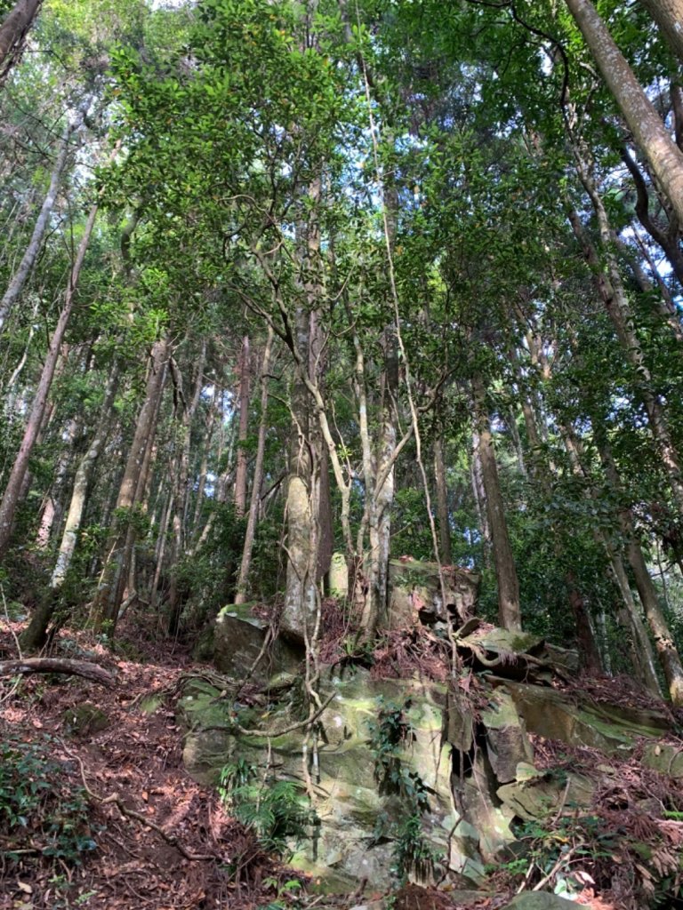 邊緣系山女：連假加里山_947751