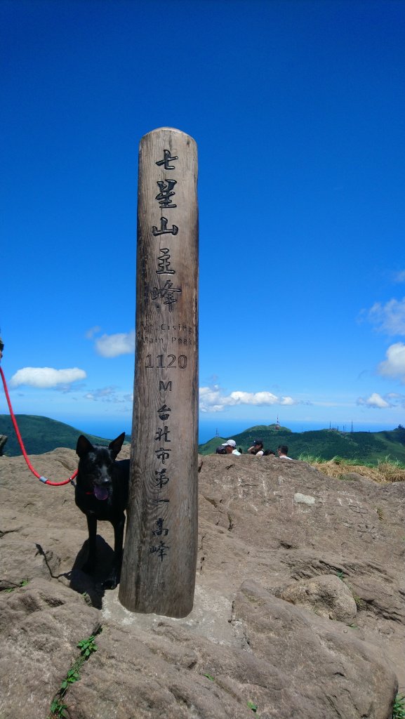 陽明山(七星系列)_1052976