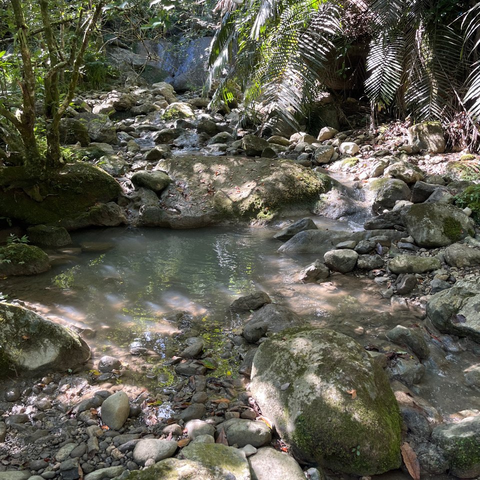 20251012_八里灣山（花蓮小百岳）_2941293