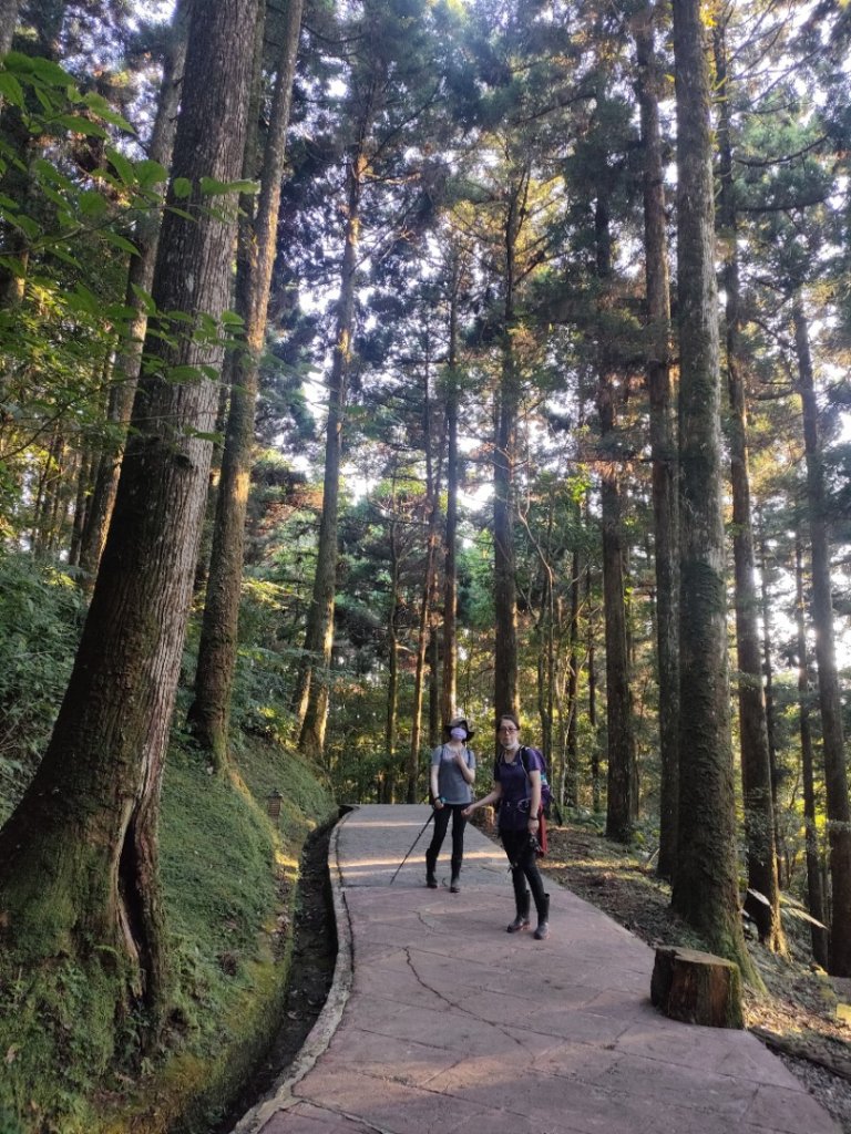 1100718 東眼山縱走拉卡山O型14公里_1455578