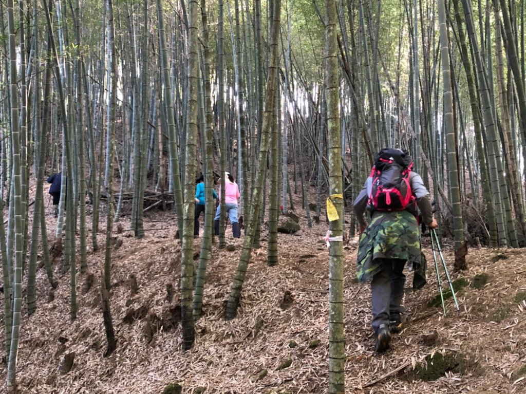 東山寮山山寮山番子田山_1280124