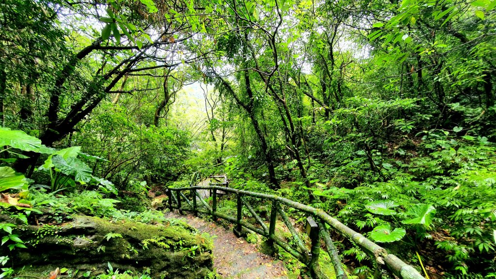 蝙蝠山，周家古厝，百年打鐵店，東和戲院遺址，隆嶺古道，暖壽山，暖暖運動公園_1755436