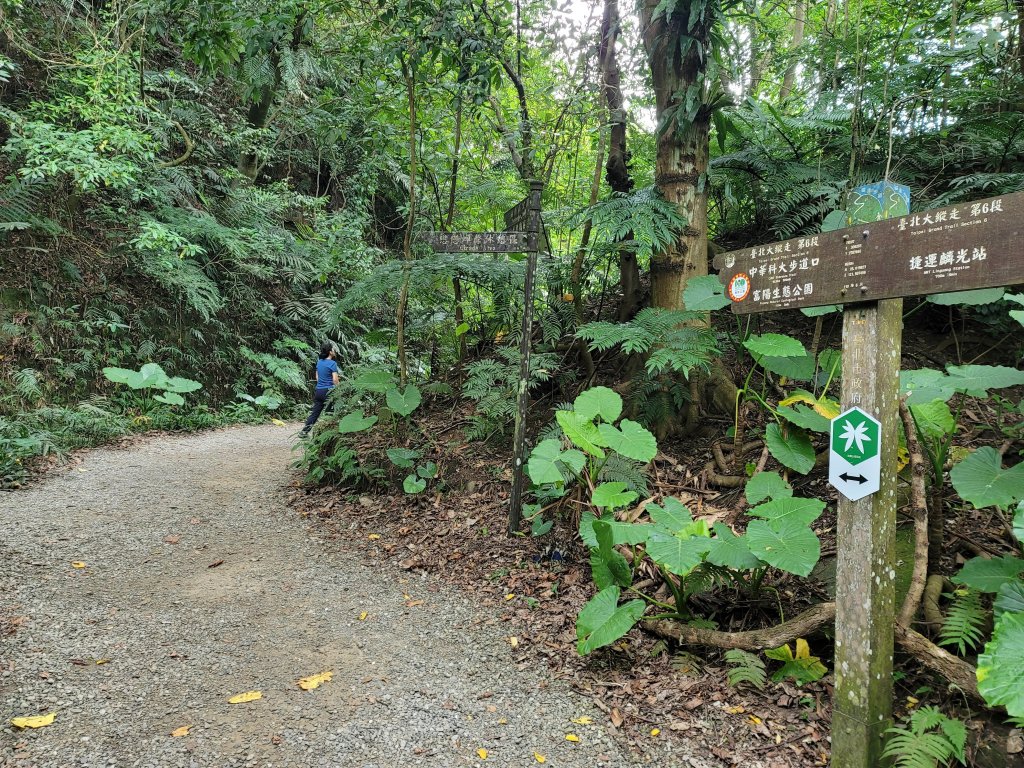 台北大縱走第6~第7段_2244475