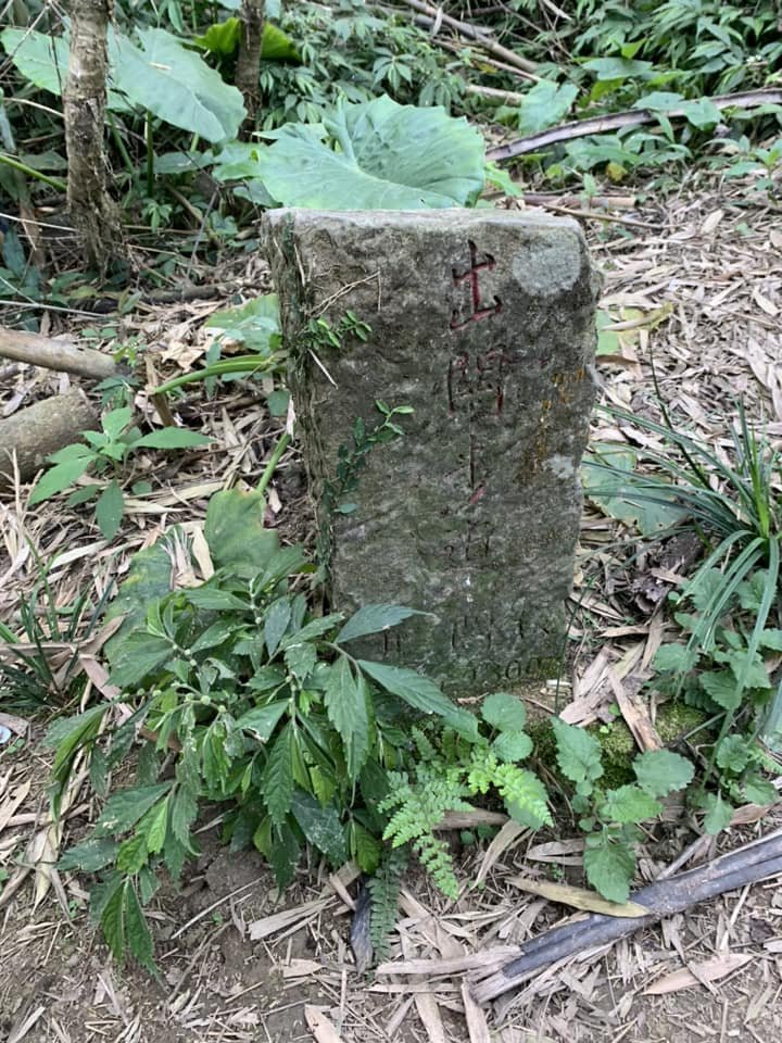 苗栗關刀山（小百岳）_2039936