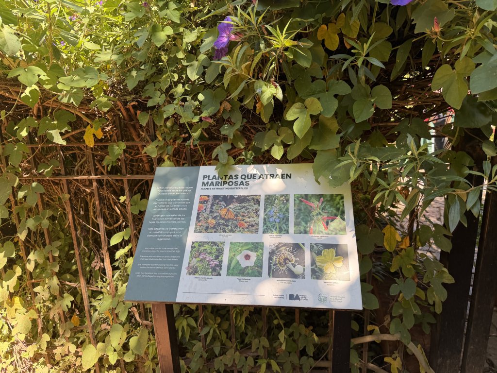 [紐約馬之行-60] 2025_1114 卡洛斯·泰斯植物園-下_2954231