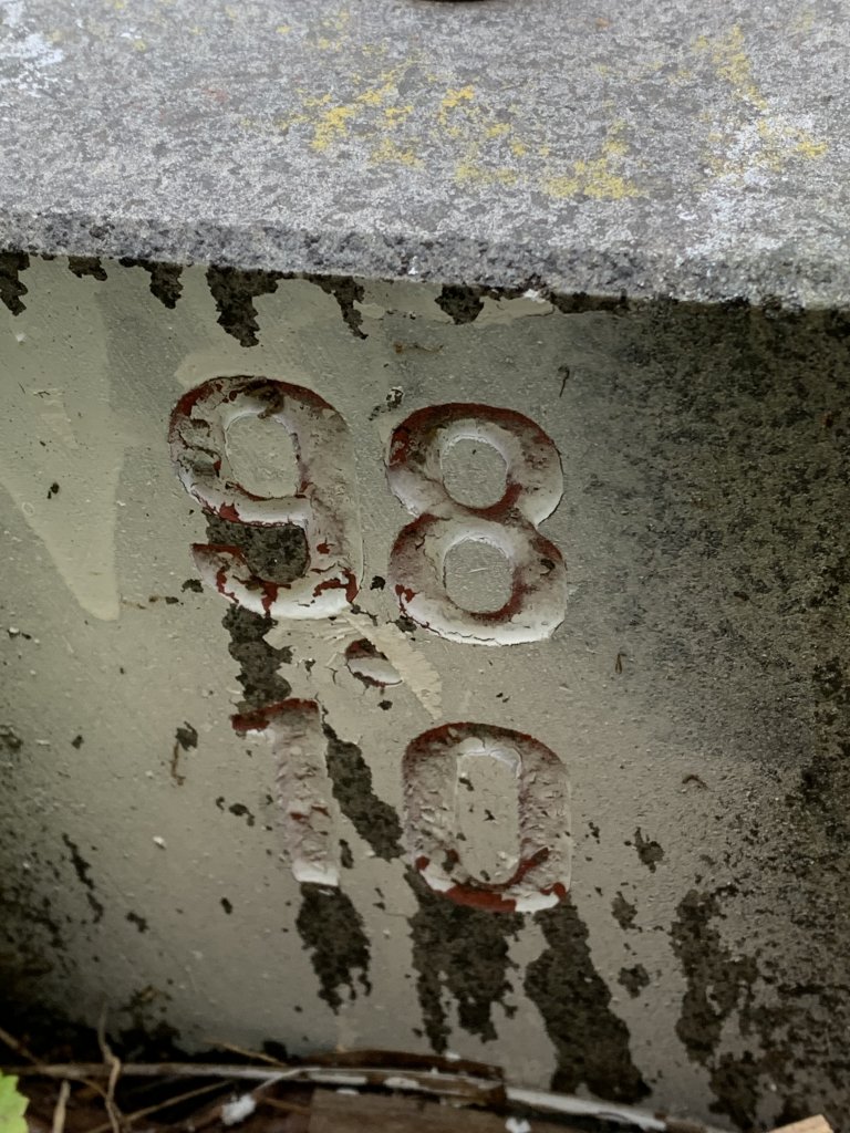 20250426苗栗火炎山_2772951