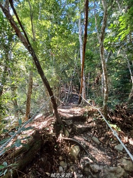 【台中和平】2022「谷關七雄，慢旅台中」登山活動認證。七雄中唯一有瀑布景觀~ 唐麻丹山x蝴蝶谷瀑布_1775952