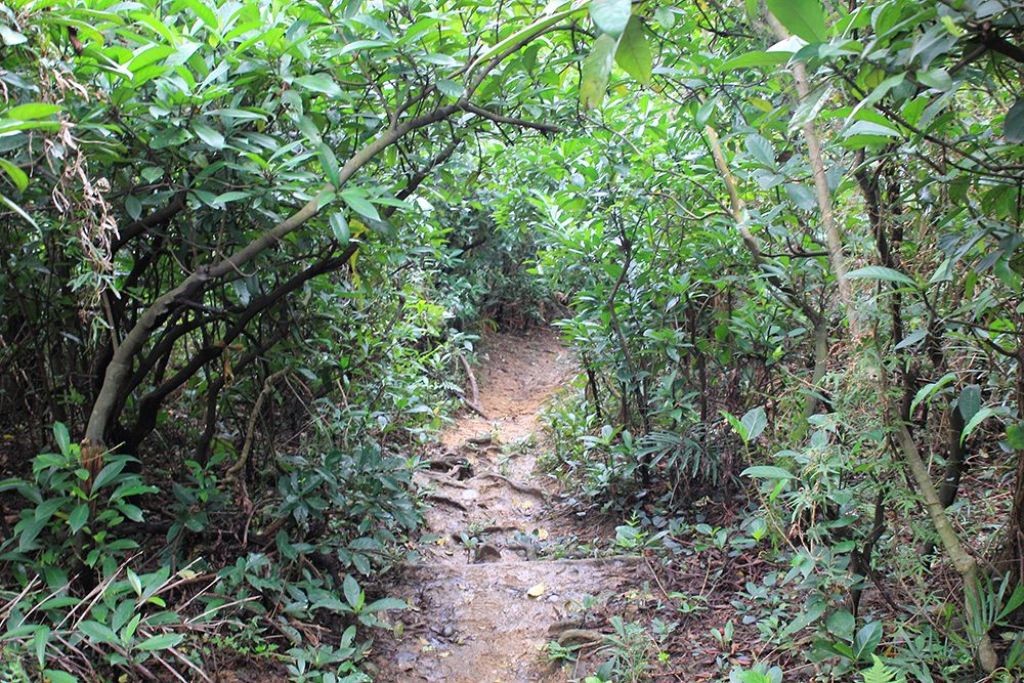 槓子寮山及砲台左進右出_349332