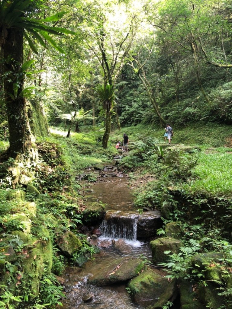 新北 三峽 熊空_658233