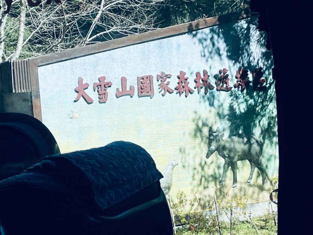 20241230 大雪山神木步道封面圖