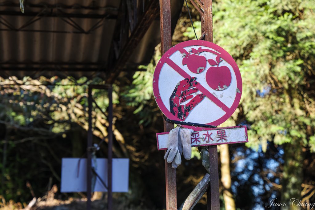 [苗栗]馬那邦山_2355128