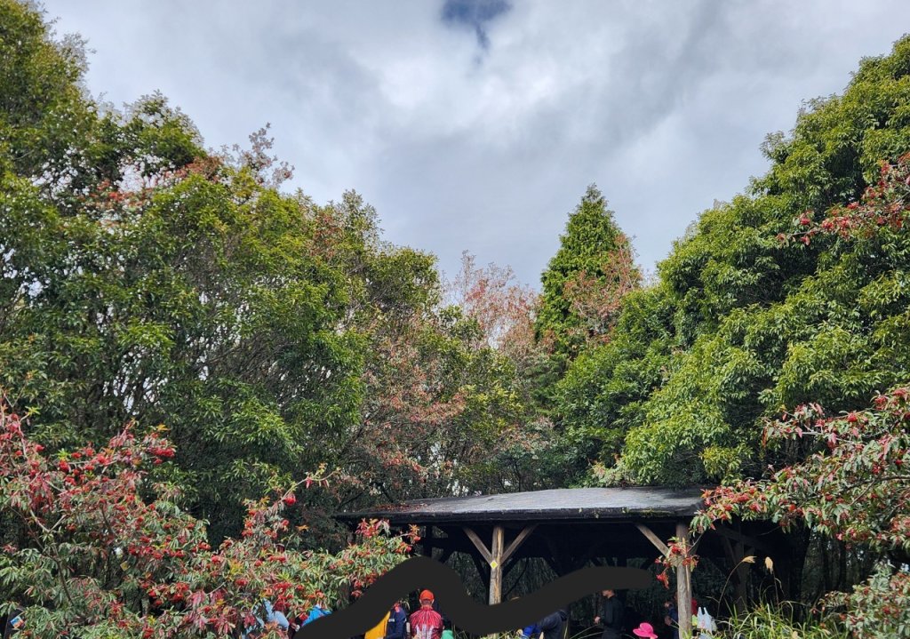 【中級山】谷關七雄八仙山_2745048