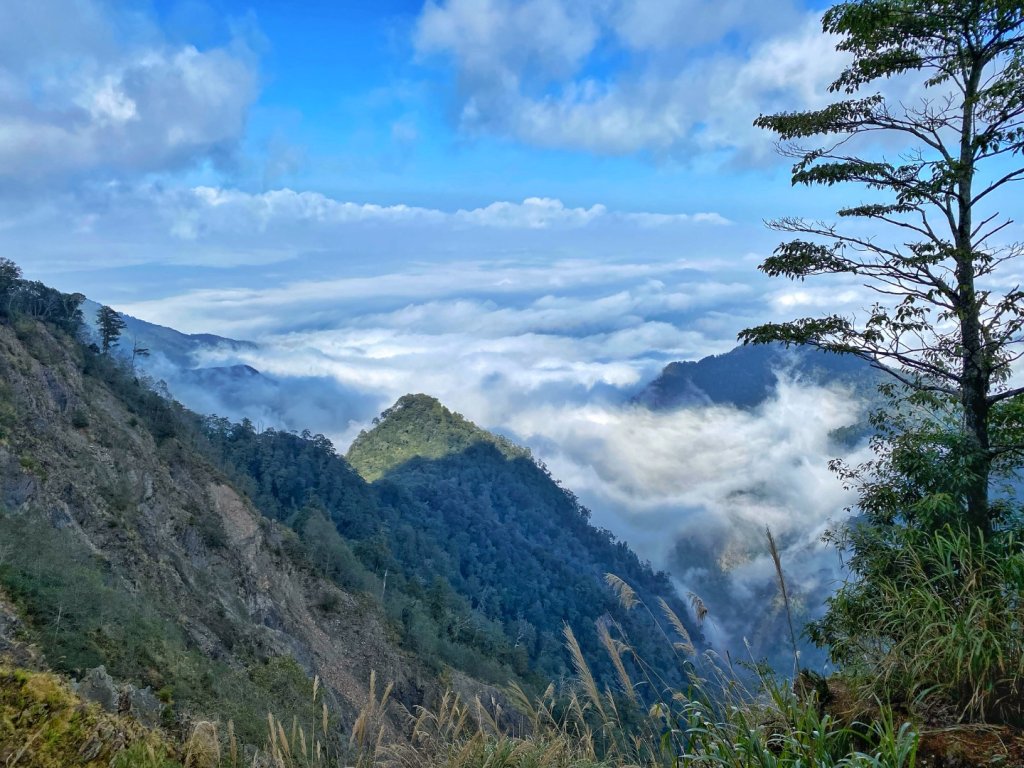 大雪山 稍來山 烏石坑林道_2686490