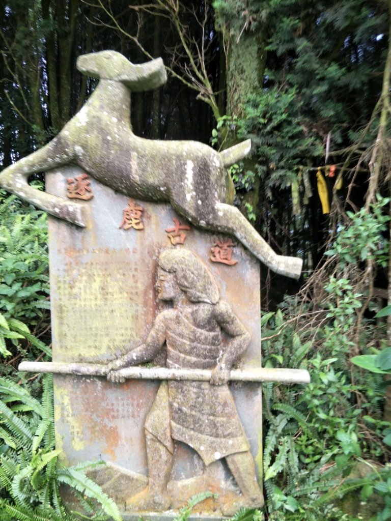 逐鹿古道&雨社山封面圖