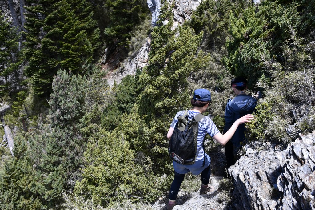 八通關上玉山_1025188