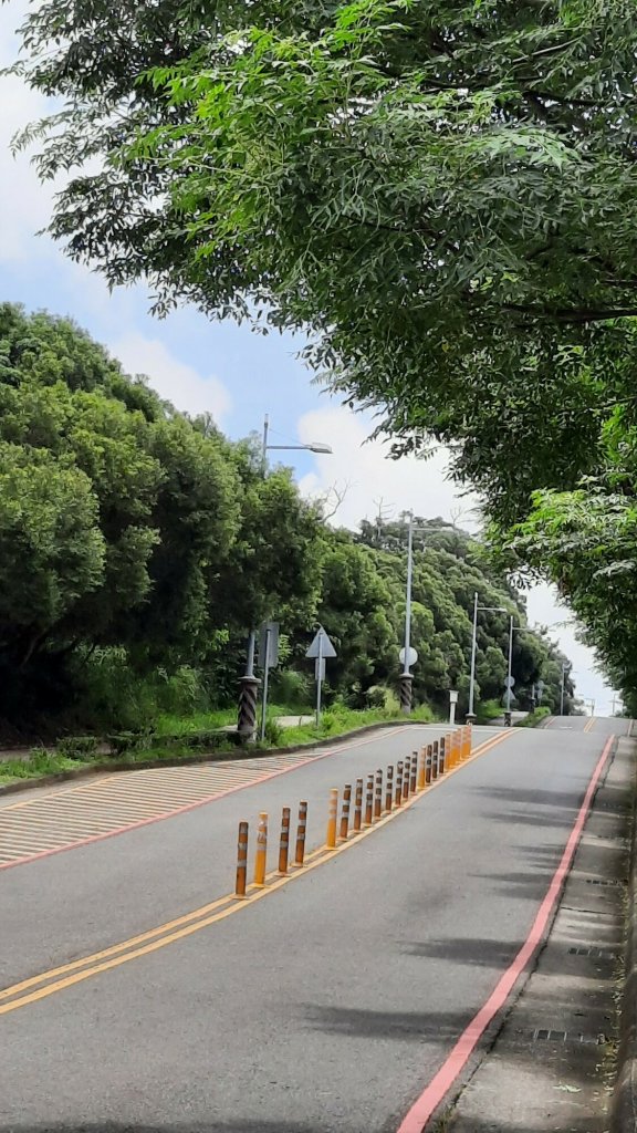 《台中》綠蔭夏蟬｜大肚環保公園登山步道O型20220626_1745182