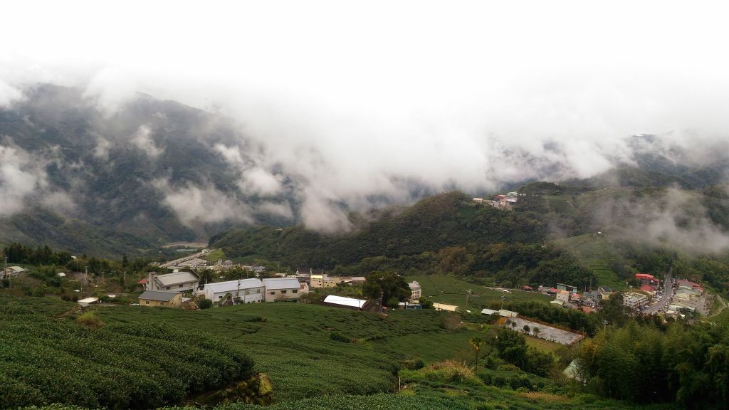 頂石棹步道群-霞之道,櫻之道及雲之道_204208