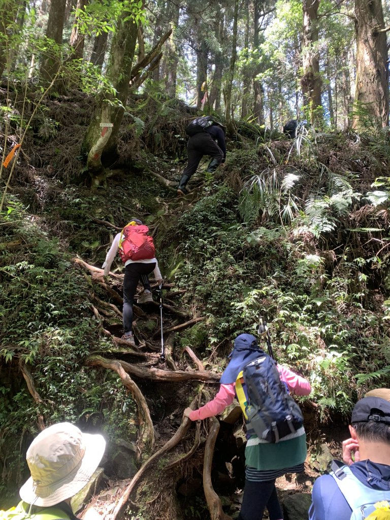 20250517義義兒玉山-東水山_2791629