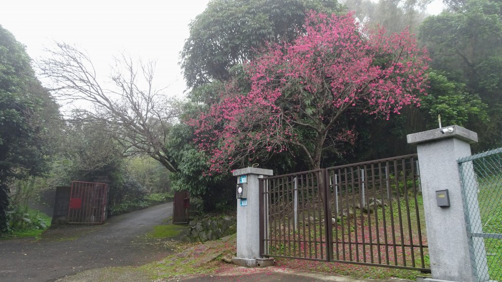 十八彎古道_2026571