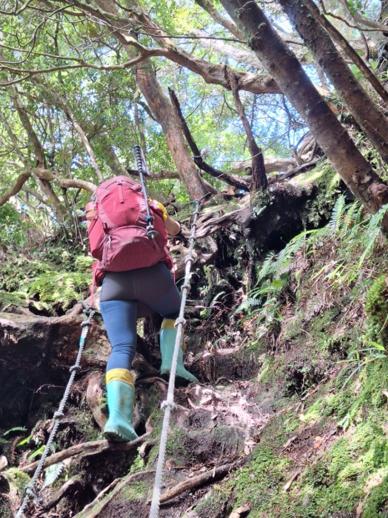 嘎色鬧上那結山_2575545