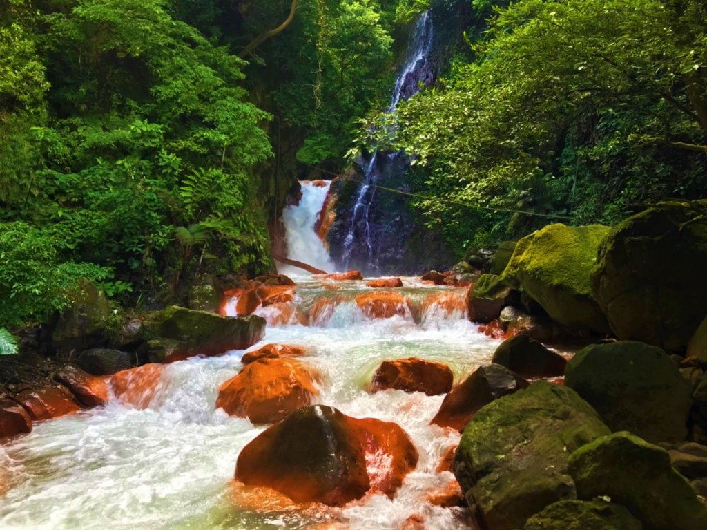 發現陽明山｜天母古道、擎天崗環形步道_1900926
