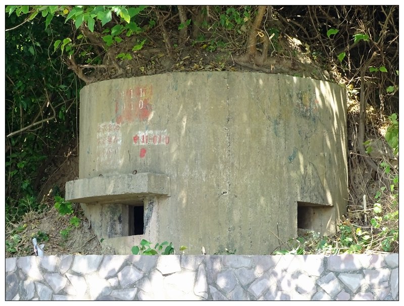 通霄/虎頭山步道_692004