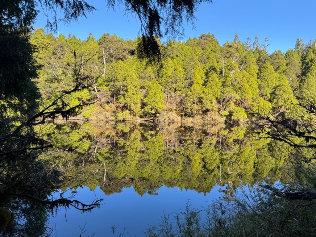 走入魔幻森林 探訪三星池與妹池_2950180