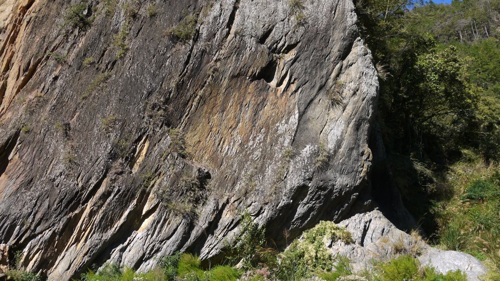 馬武佐野郡山登山健行趣(中級山)_1508678