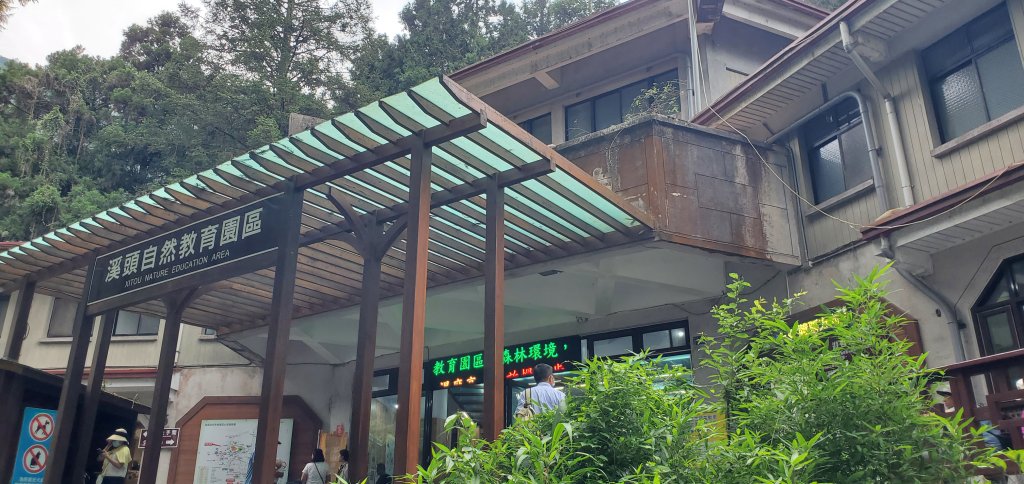 2024-05-19溪頭自然教育園區_2507969