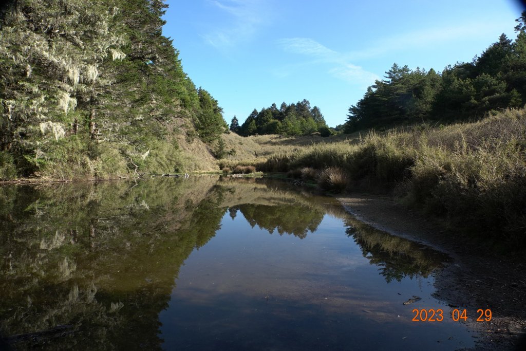 南投 仁愛 武法奈尾山_2133777