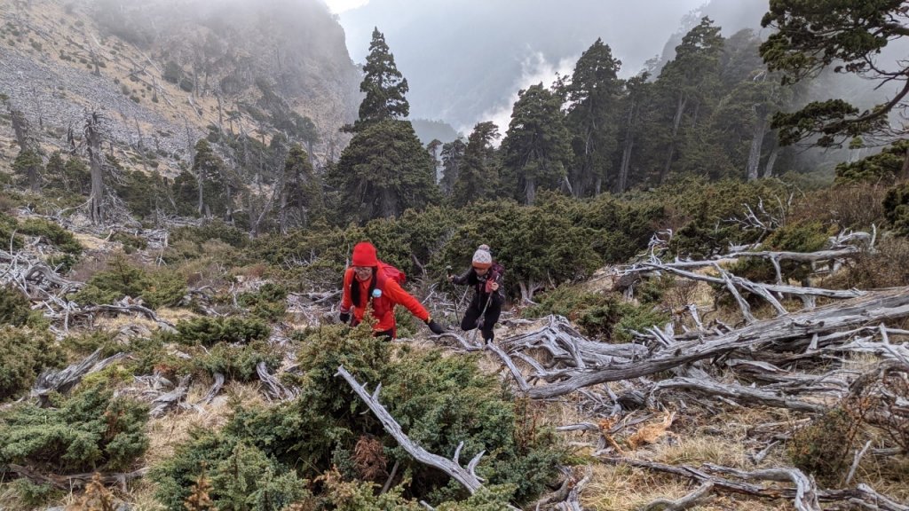 一日志雪_1406531